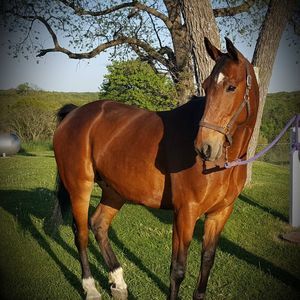 Meet your Posher, Lori